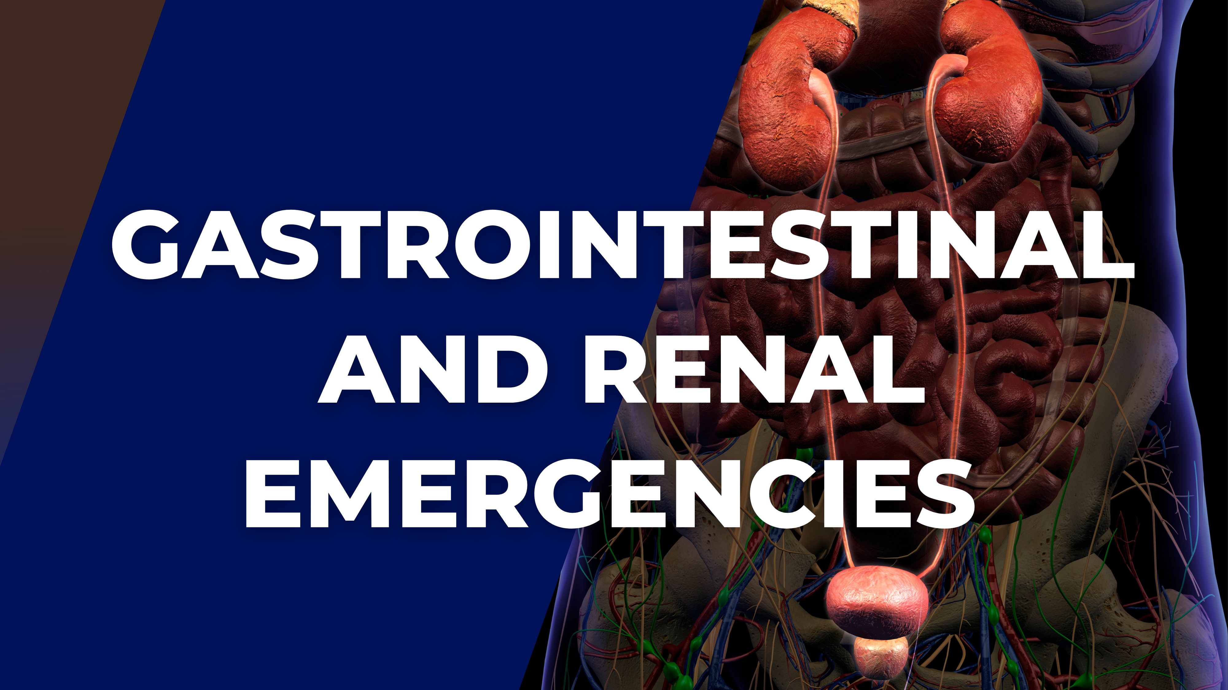 Gastrointestinal and renal emergencies